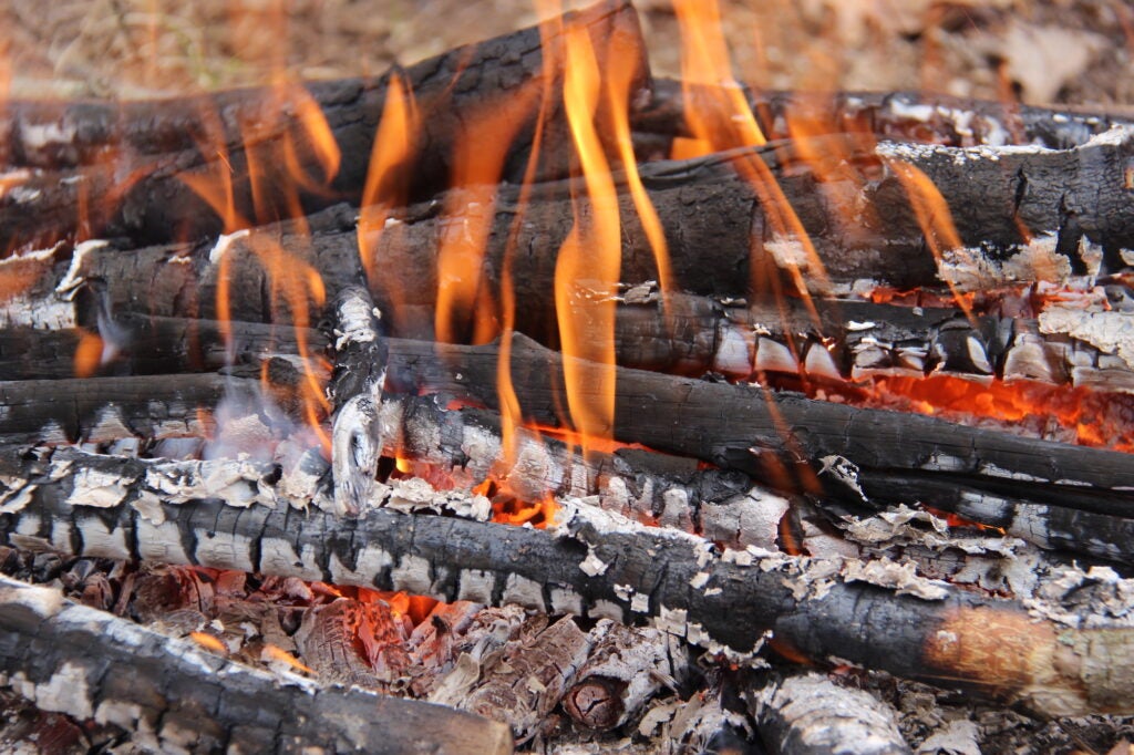 How to Start a Fire in Four Stages Different Fire Lay Options for Different Goals