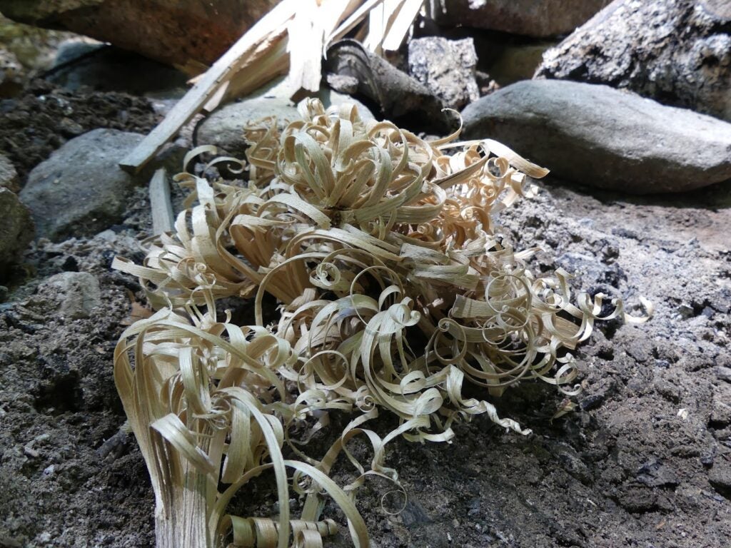 How to Start a Fire in Four Stages Extinguishing and Banking Your Fire for Later Use