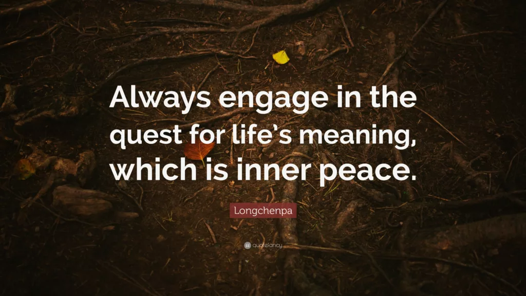 The Quest for the Meaning of Life Pursuit of Happiness